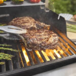 WEBER Spirit E-335 плинска скара со Sear Zone и страничен горилник - Image 3