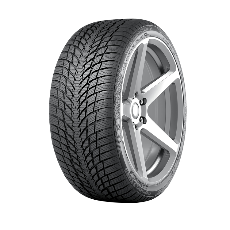 255/45R19 104V WR Snowproof P XL