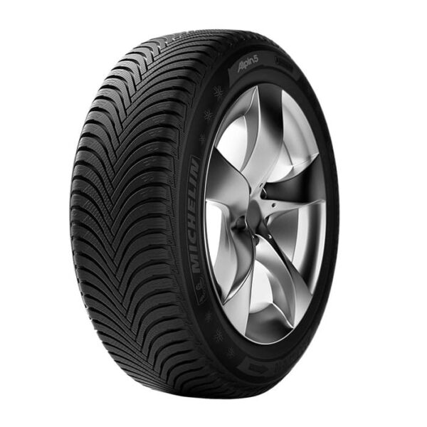 205/65R16 95H ALPIN 5 MO