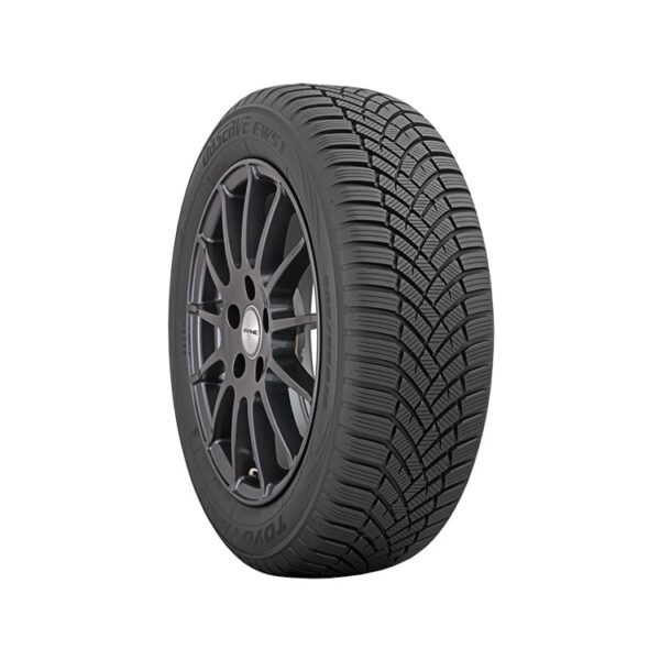 225/40R18 92W OBSERVE EWS1 XL