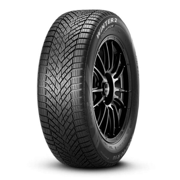 295/40R21 111V S-WNT2 XL elt