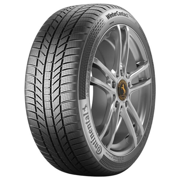 225/55R17 97H WinterContact TS870 P